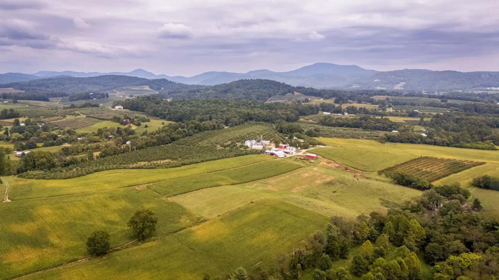 Aerial view of green North Carolina landscape — senior care in North Carolina